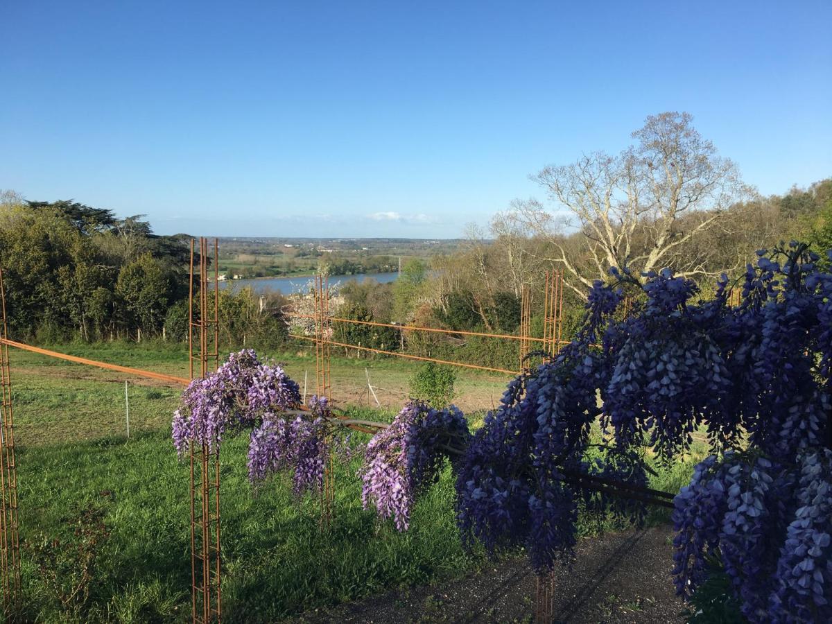 Domaine De Galland-Dast Cambes  Exterior foto